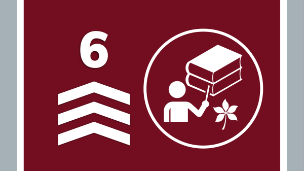 Decorative ranking badge